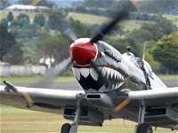 Wings Over Illawarra - Local Tourism