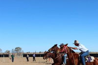 Birdsville Horse and Motorbike Gymkhana - Accommodation Daintree