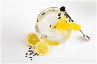 Online live streaming class Make Four Gin Cocktails - Accommodation Airlie Beach