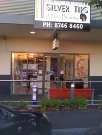 Silver tips - Adelaide Hairdresser