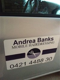 Andrea Banks Mobile Hairdressing