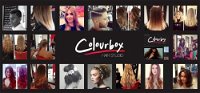 Colourbox Hair Studio - Adelaide Hairdresser