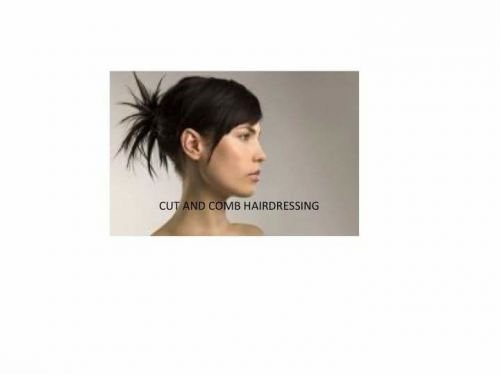 Cut & Comb Hairdressing - thumb 9