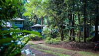 Ferntree Rainforest Lodge - Accommodation Mount Tamborine