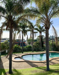 Shellharbour Resort - Accommodation Newcastle