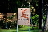 Lazy Lizard Motor Inn - QLD Tourism