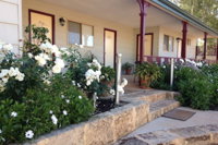 The Nosh  Nod - Avon Terrace - Accommodation Tasmania