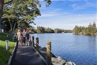 Discovery Parks - Forster - Accommodation Mount Tamborine
