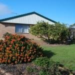 Lemontree Cottage - Accommodation NSW