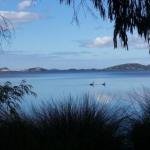 Lilacs Waterfront Villas  Cottages - Accommodation Australia