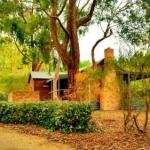 Cedarwood Cottage - Accommodation Broken Hill