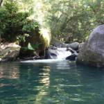 Daintree Secrets Rainforest Sanctuary - Accommodation Search