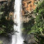 Purling Brook Falls Gwongorella - QLD Tourism