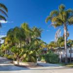 Mollymook Caravan Park - Palm Beach Accommodation