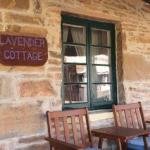Lavender Cottage B  B - QLD Tourism