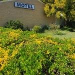 Esk Motel - Tweed Heads Accommodation