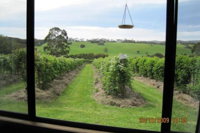 Pennyroyal Raspberry Farm  Cidery - Australia Accommodation