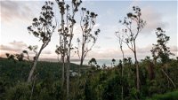 Onestep Airlie Retreat - Accommodation Bookings