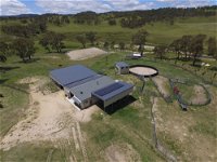 Donegal Farmstay - Accommodation Noosa