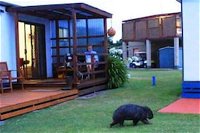 BIG4 Kelso Sands Holiday Park - Accommodation NT