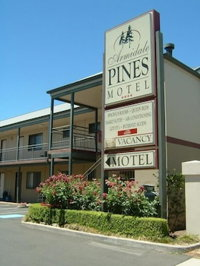 Armidale Pines Motel - Accommodation Broken Hill