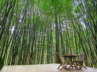 Azabu Boutique Accommodation Byron Bay - Australia Accommodation