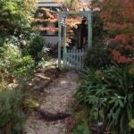 Lemon Tree Cottage - Accommodation NSW