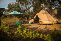 Grapevine Glamping - Accommodation Airlie Beach