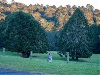 Escape to the Country - Enjoy the Firepit or Explore Magical Bunya Mountains - Accommodation Mount Tamborine