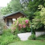 RiverCottage selfcontained - Accommodation Bookings