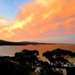 DOLPHIN LOOKOUT COTTAGE amazing views of the Bay of Fires - Phillip Island Accommodation