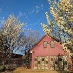 Magenta Cottage - Accommodation Bookings