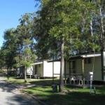 Tall Timbers Caravan Park Kempsey - Accommodation Tasmania