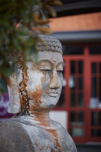 Pagoda Resort  Spa - Accommodation Bookings