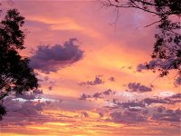 Sunset View Bb Forbes Nsw - Australia Accommodation