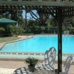 The Tree Motel - Accommodation Bookings