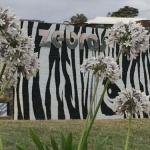 Zebras Guest House - Accommodation NT