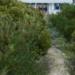 Polperro a quintessential seaside experience - Geraldton Accommodation