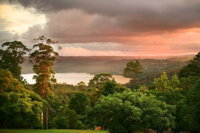 Montville Misty View Cottages - Accommodation Mermaid Beach