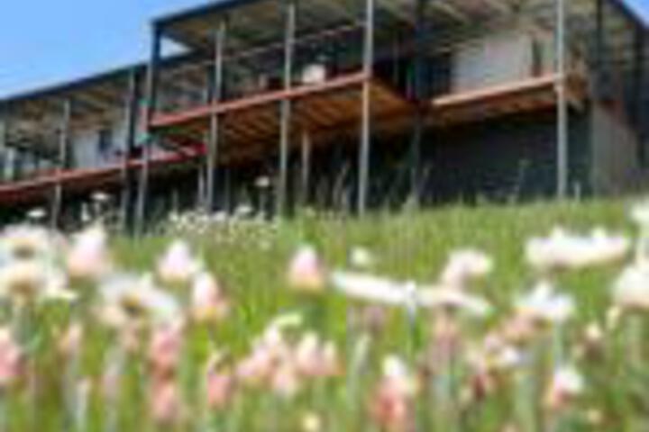 Abels Bay TAS Accommodation Resorts