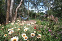 Southern Grampians Cottages - Accommodation Mermaid Beach