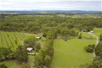 Twin Trees Country Cottages - Accommodation Mount Tamborine