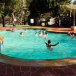 Rivergum Holiday Park - Palm Beach Accommodation