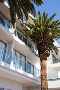 The Palms Apartments - Accommodation Noosa
