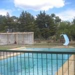 Golden Hills Motel - Accommodation Bookings