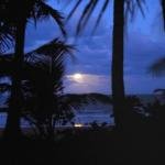 Sejala Beach Huts - Accommodation Gold Coast
