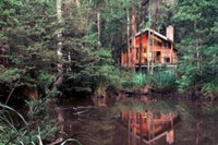 Woodlands Rainforest Retreat - Accommodation Tasmania