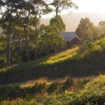 Bundle Hill Cottages - Accommodation Port Macquarie