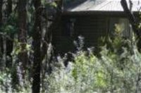 Twin Falls Bush Cottages - Accommodation Port Macquarie