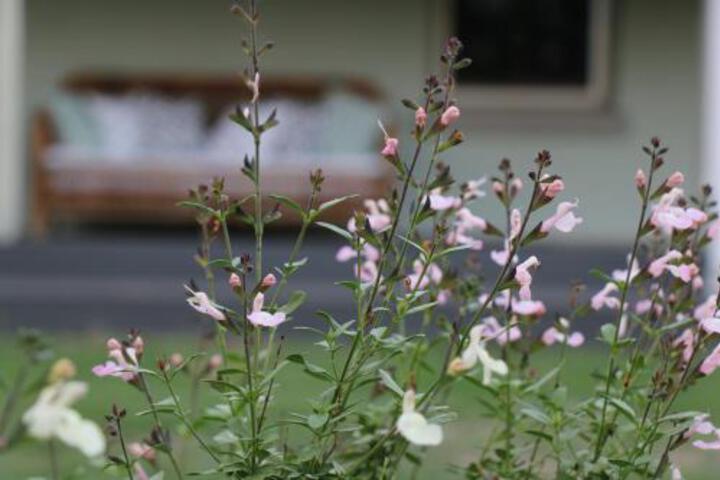 Lewinsbrook ACT Accommodation Yamba